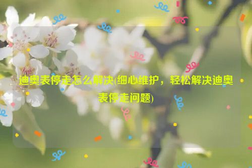 迪奥表停走怎么解决(细心维护，轻松解决迪奥表停走问题)