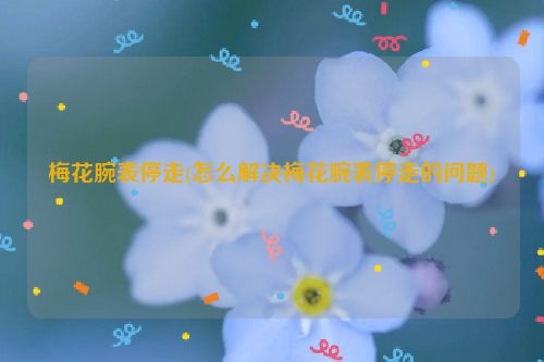 梅花腕表停走(怎么解决梅花腕表停走的问题)