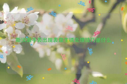 斯沃琪手表出现表盘生锈处理技巧是什么