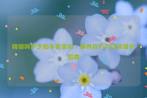 精细呵护芝柏手表表扣：保养技巧与日常维护指南