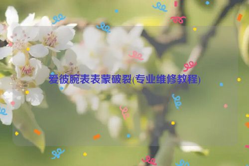 爱彼腕表表蒙破裂(专业维修教程)