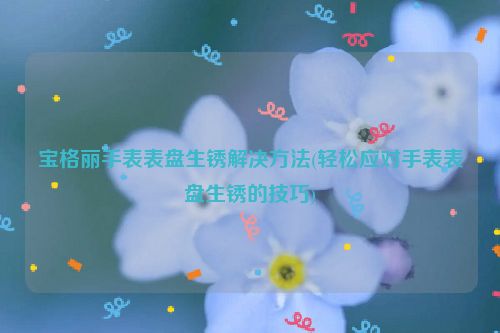 宝格丽手表表盘生锈解决方法(轻松应对手表表盘生锈的技巧)