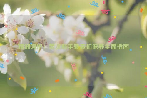 精细呵护：荣汉斯手表表扣保养全面指南