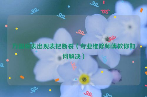 万国腕表出现表把断裂（专业维修师傅教你如何解决）