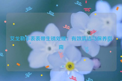 艾戈勒手表表带生锈处理：有效清洁与保养指南