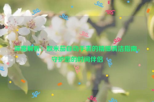 深度解析：欧米茄自动手表的精细清洁指南，守护您的时间伴侣