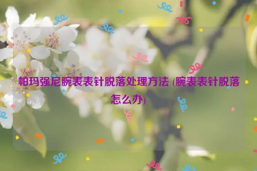 帕玛强尼腕表表针脱落处理方法 (腕表表针脱落怎么办)