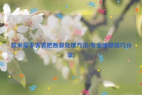 欧米茄手表表把断裂处理方法(专业维修技巧分享)