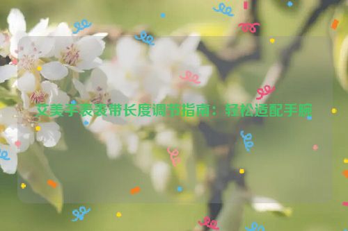 艾美手表表带长度调节指南：轻松适配手腕