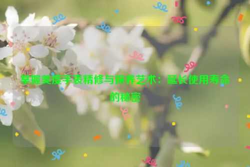 掌握美度手表精修与保养艺术：延长使用寿命的秘密