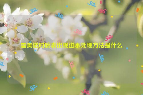 雷美诺时腕表出现进水处理方法是什么