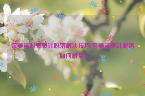 雷美诺时表表针脱落解决技巧(雷美诺表针脱落如何修复)