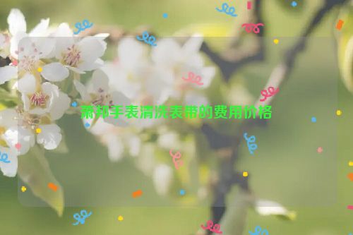 萧邦手表清洗表带的费用价格