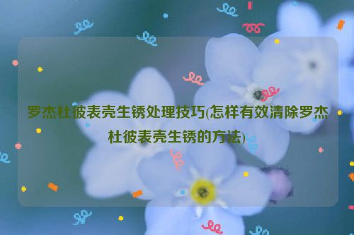 罗杰杜彼表壳生锈处理技巧(怎样有效清除罗杰杜彼表壳生锈的方法)