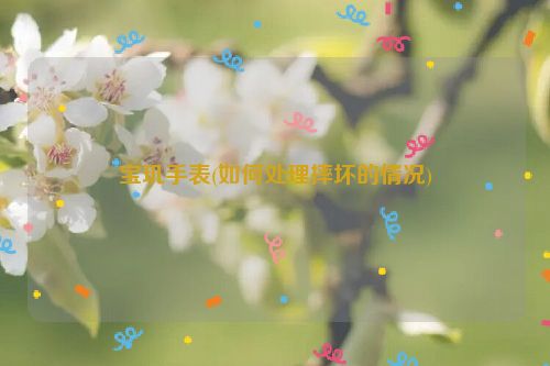 宝玑手表(如何处理摔坏的情况)