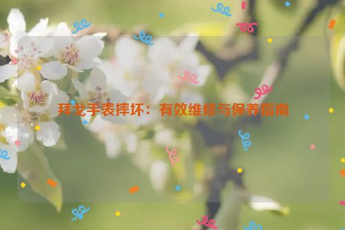 拜戈手表摔坏：有效维修与保养指南