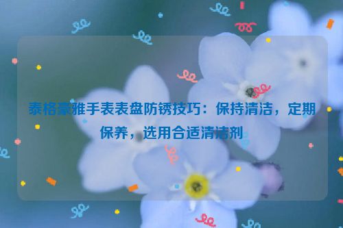 泰格豪雅手表表盘防锈技巧：保持清洁，定期保养，选用合适清洁剂