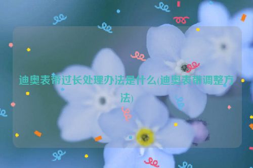 迪奥表带过长处理办法是什么(迪奥表带调整方法)