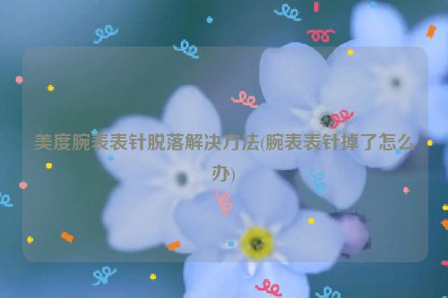 美度腕表表针脱落解决方法(腕表表针掉了怎么办)