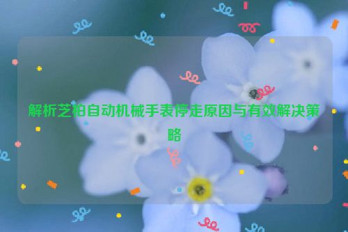 解析芝柏自动机械手表停走原因与有效解决策略