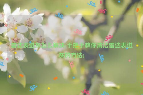 雷达表进灰怎么解决(手把手教你清洁雷达表进灰的方法)