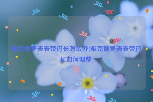 雅克德罗表表带过长怎么办(雅克德罗表表带过长如何调整)