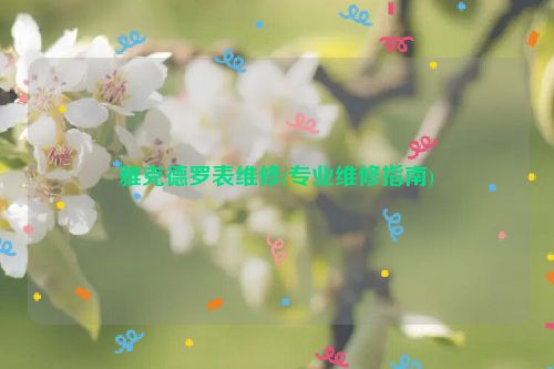 雅克德罗表维修(专业维修指南)