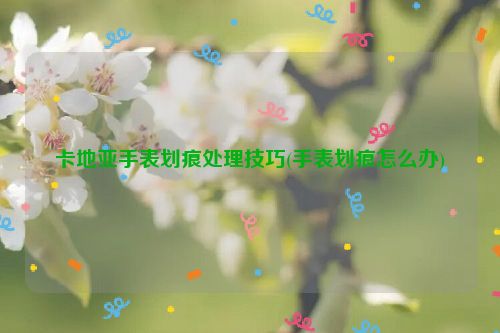 卡地亚手表划痕处理技巧(手表划痕怎么办)